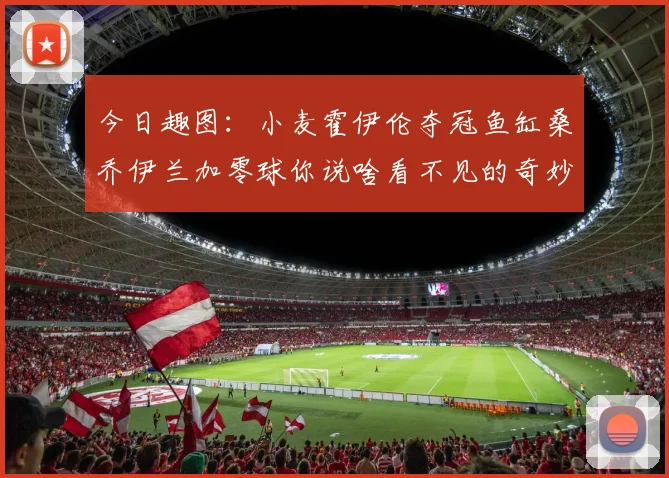 今日趣图：小麦霍伊伦夺冠鱼缸桑乔伊兰加零球你说啥看不见的奇妙瞬间