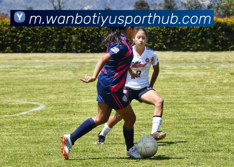 万博体育全站App